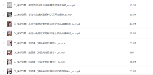 潮汕蔡总 小红书电商运营课-老K资源网