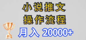 新玩法】小说推文项目操作流程，月入20000+-老K资源网