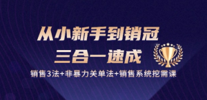 从小新手到销冠速成：销售3法+非暴力关单法+销售系统挖需课-老K资源网