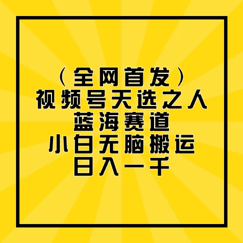 全网首发，视频号天选之人蓝海赛道，小白无脑搬运日入一千-老K资源网