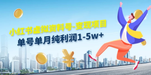 虚拟资料号变现项目，单月单号纯利润1W+，实操玩法分享-老K资源网