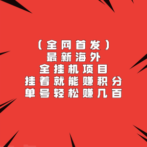 全网首发，最新海外全挂机项目，挂着就能赚积分，单号轻松赚几百-老K资源网