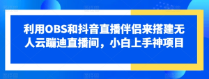 利用OBS和抖音直播伴侣来搭建无人云蹦迪直播间，小白上手神项目-老K资源网