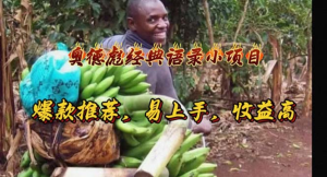 奥德彪经典语录小项目，爆款推荐，易上手，收益高-老K资源网