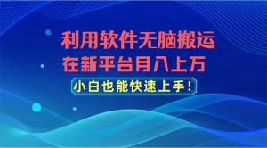 利用软件无脑搬运，在新平台月入上万，小白也能快速上手-老K资源网