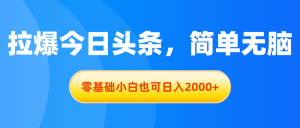 拉爆今日头条，简单无脑，零基础小白也可日入2000+-老K资源网