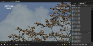 PotPlayer v1.7.22259绿色版-老K资源网