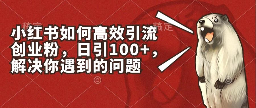 小红书如何高效引流创业粉，日引100+，解决你遇到的问题-老K资源网