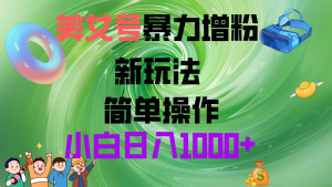 美女号暴力增粉，新玩法 操作简单，小白日入1000+-老K资源网