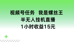 视频号任务，我是螺丝王， 半无人挂机1小时收益15元-老K资源网