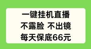 一键挂JI直播，不露脸不出境，每天保底66元-老K资源网