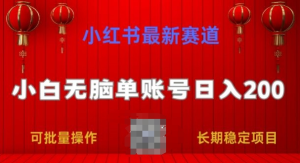 小红书最新赛道，小白无脑单账号日入200，长期稳定项目-老K资源网