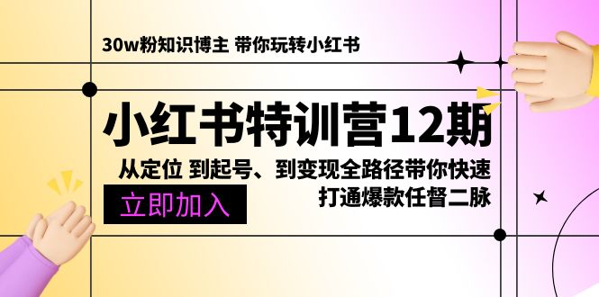 小红书特训营12期：从定位 到起号、到变现全路径带你快速打通爆款任督二脉-老K资源网