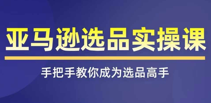 亚马逊选品实操课程，快速掌握亚马逊选品的技巧，覆盖亚马逊选品所有渠道-老K资源网