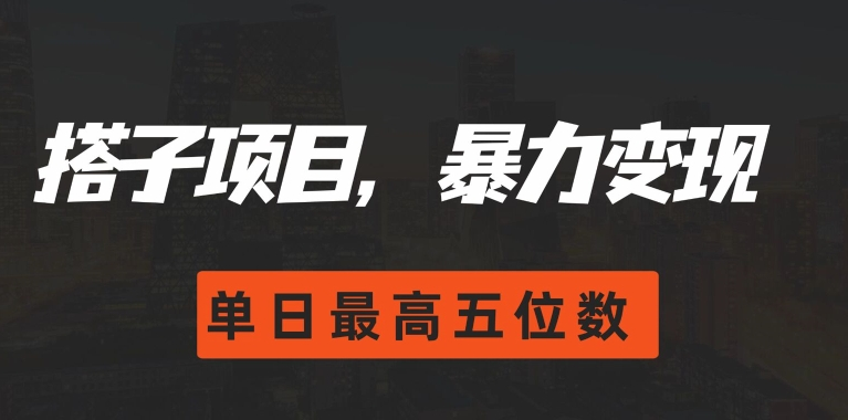 搭子项目，暴力变现，单日最高破五位数-老K资源网