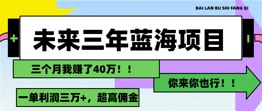 未来三年，蓝海赛道，月入3万+-老K资源网