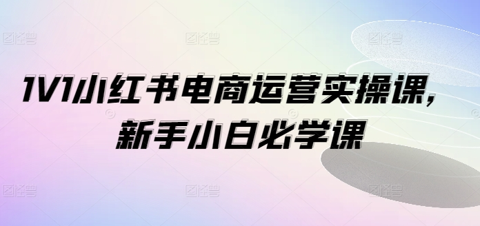 1V1小红书电商运营实操课，新手小白必学课-老K资源网