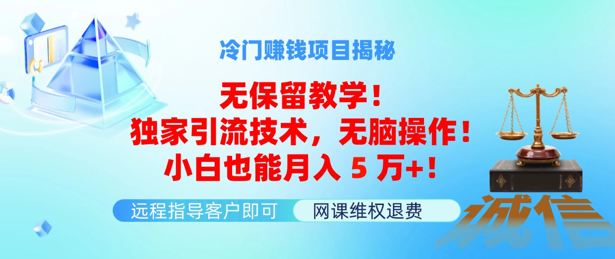 冷门赚钱项目无保留教学！独家引流技术，无脑操作！小白也能月入5万+！-老K资源网