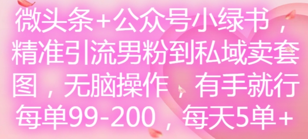 微头条+公众号小绿书，精准引流男粉到私域卖套图，无脑操作，有手就行，每单99-200，每天5单-老K资源网