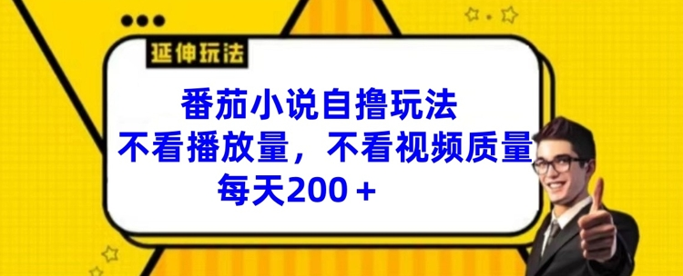 番茄小说自撸玩法，不看播放量，不看视频质量，每天200+-老K资源网