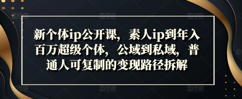 新个体ip公开课，素人ip到年入百万超级个体，公域到私域，普通人可复制的变现路径拆解-老K资源网
