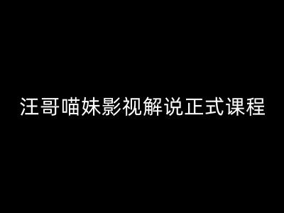 汪哥影视解说正式课程：剪映/PR教学/视解说剪辑5大黄金法则/全流程剪辑7把利器等等-老K资源网