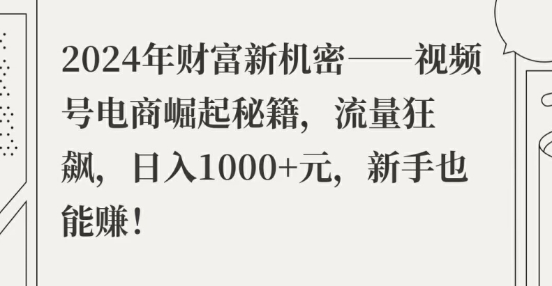 2024年财富新机密——视频号电商崛起秘籍，流量狂飙，日入1k元，新手也能赚-老K资源网