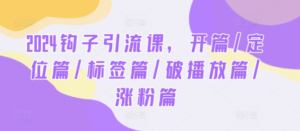 2024钩子引流课，开篇/定位篇/标签篇/破播放篇/涨粉篇-老K资源网
