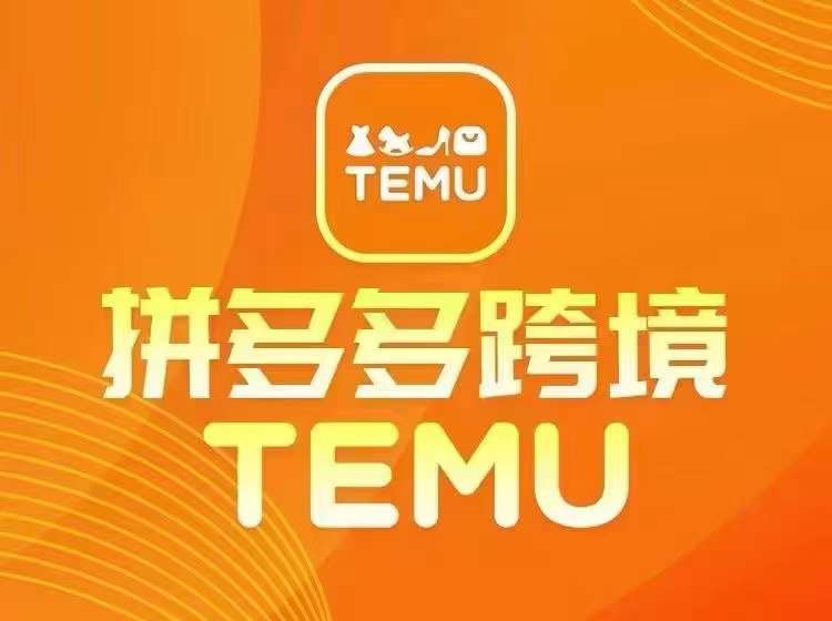 最新TEMU拼多多跨境教程，开店、运营、选品-老K资源网
