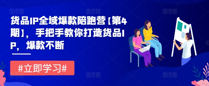 货品IP全域爆款陪跑营【第4期】，手把手教你打造货品IP，爆款不断-老K资源网