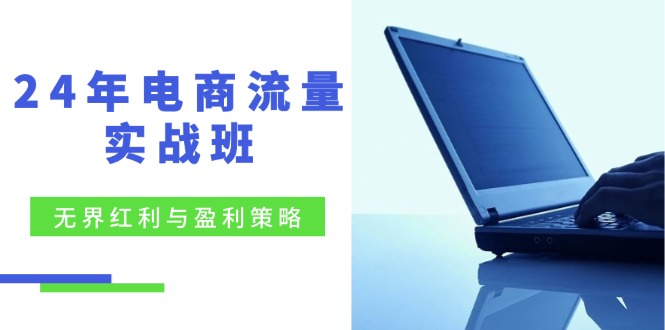 24年电商流量实战班：无界 红利与盈利策略，终极提升/关键词优化/精准…-老K资源网