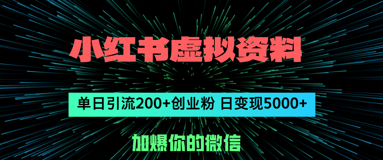 小红书虚拟资料日引流200+创业粉，单日变现5000+-老K资源网
