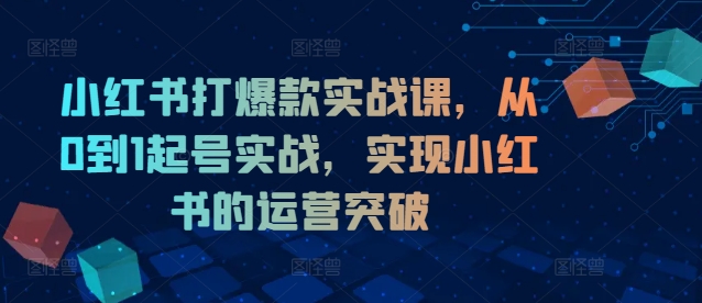 小红书打爆款实战课，从0到1起号实战，实现小红书的运营突破-老K资源网
