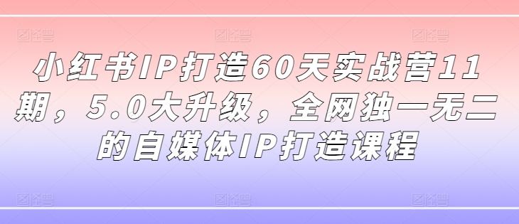 小红书IP打造60天实战营11期，5.0大升级，全网独一无二的自媒体IP打造课程-老K资源网