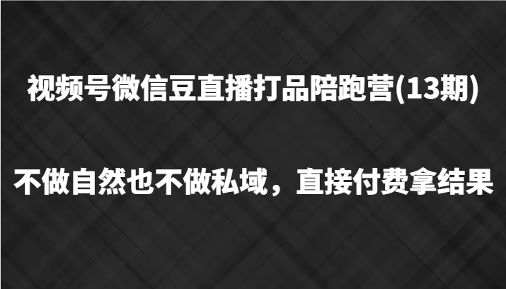 视频号微信豆直播打品陪跑(13期)，不做不自然流不做私域，直接付费拿结果-老K资源网