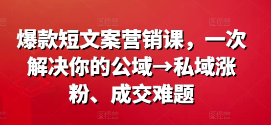 爆款短文案营销课，一次解决你的公域→私域涨粉、成交难题-老K资源网