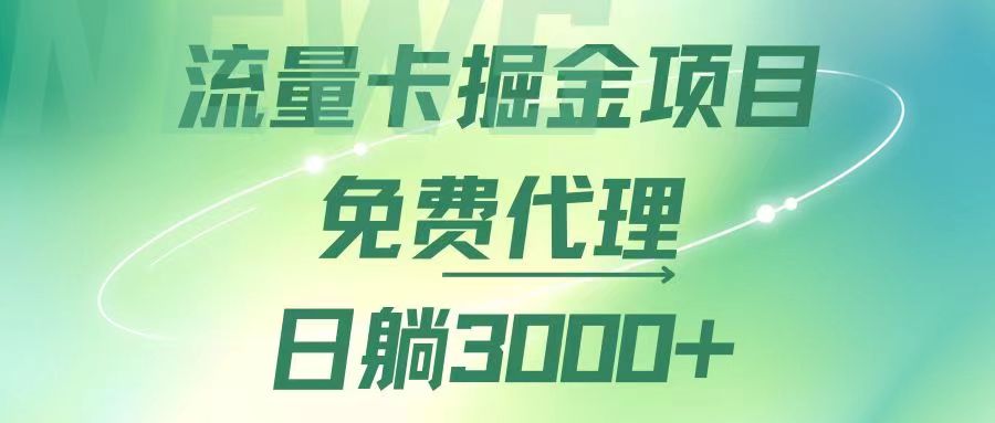流量卡掘金代理，日躺赚3000+，变现暴力，多种推广途径-老K资源网