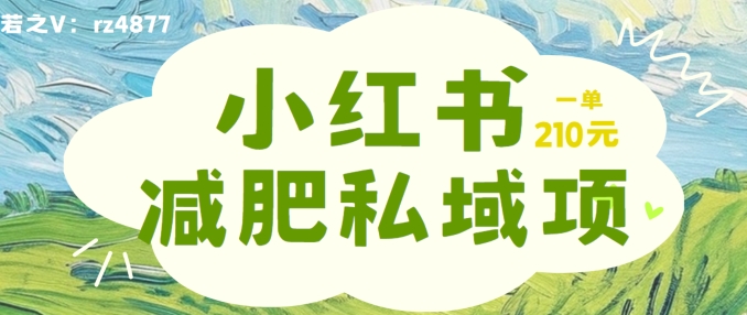 小红书减肥粉，私域变现项目，一单就达210元，小白也能轻松上手-老K资源网