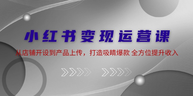 小红书变现运营课：从店铺开设到产品上传，打造吸睛爆款 全方位提升收入-老K资源网