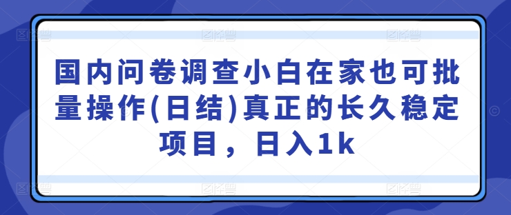 国内问卷调查小白在家也可批量操作(日结)真正的长久稳定项目，日入1k-老K资源网