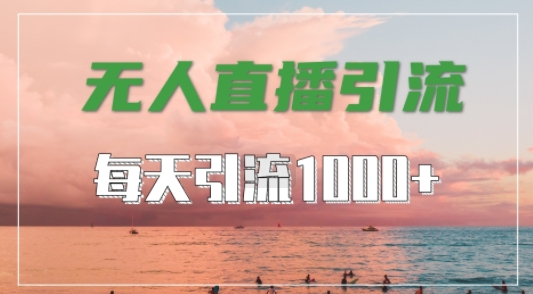 抖音快手视频号全平台通用，无人直播引流法，超暴力引流1000+高质量精准创业粉-老K资源网