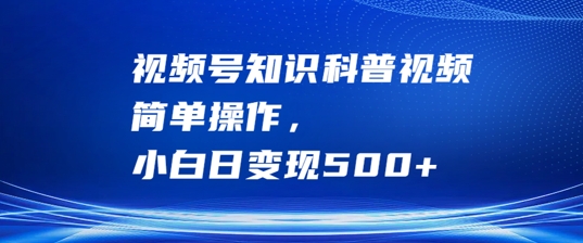 视频号知识科普视频，简单操作，小白日变现500+-老K资源网