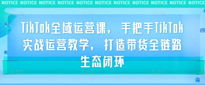TikTok全域运营课，手把手TikTok实战运营教学，打造带货全链路生态闭环-老K资源网