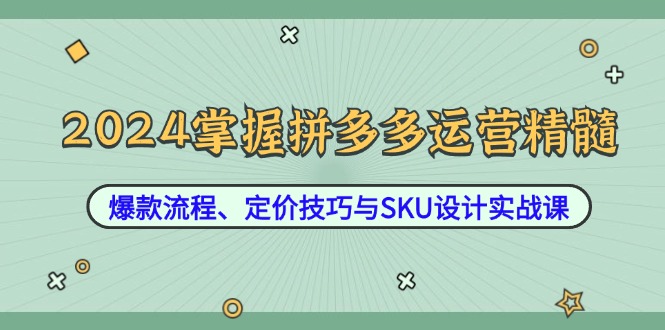 2024掌握拼多多运营精髓：爆款流程、定价技巧与SKU设计实战课-老K资源网