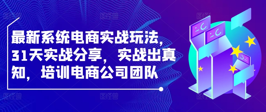 最新系统电商实战玩法，31天实战分享，实战出真知，培训电商公司团队-老K资源网