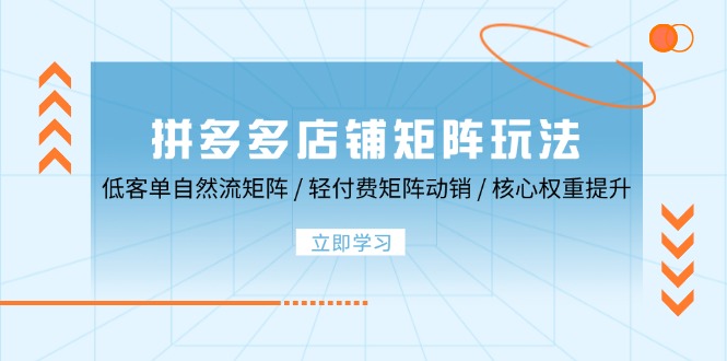 拼多多店铺矩阵玩法：低客单自然流矩阵 / 轻付费矩阵 动销 / 核心权重提升-老K资源网