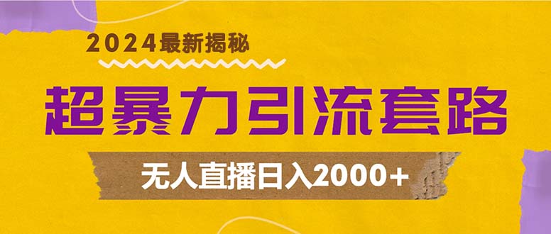 超暴力引流套路，无人直播日入2000+-老K资源网