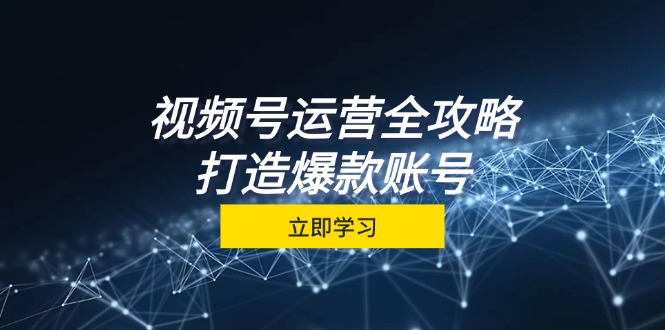 视频号运营全攻略，从定位到成交一站式学习，视频号核心秘诀，打造爆款…-老K资源网