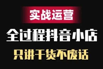 抖音小店精细化实战运营，只讲干货不废话-老K资源网