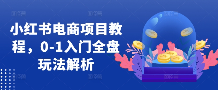 小红书电商项目教程，0-1入门全盘玩法解析-老K资源网